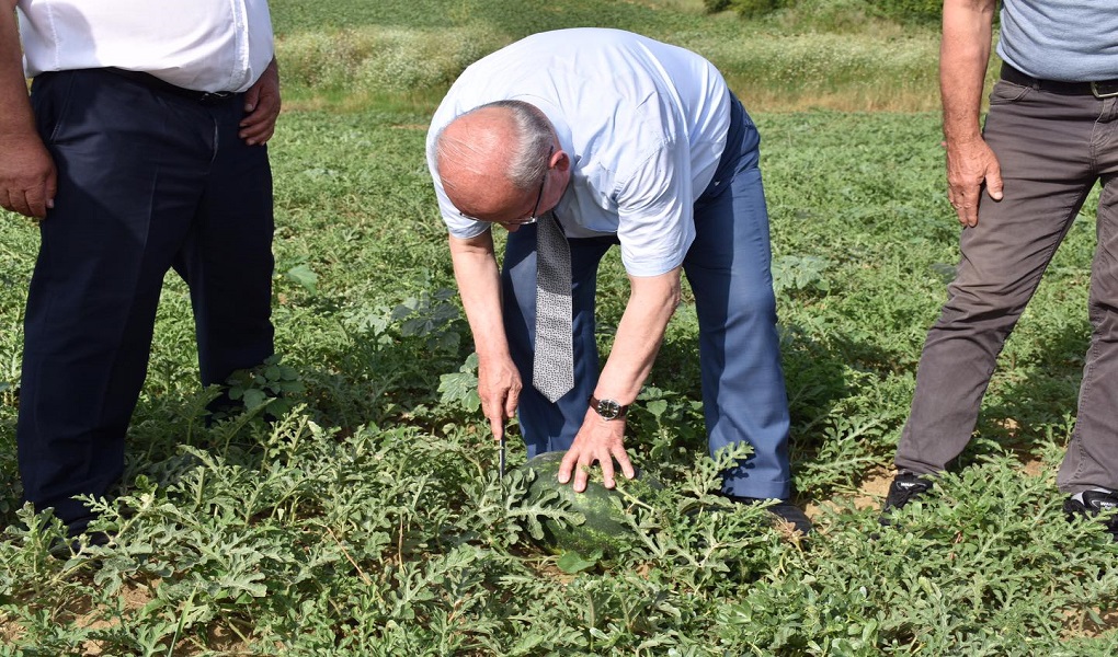 Tekirdağ Büyükşehir Belediyesi