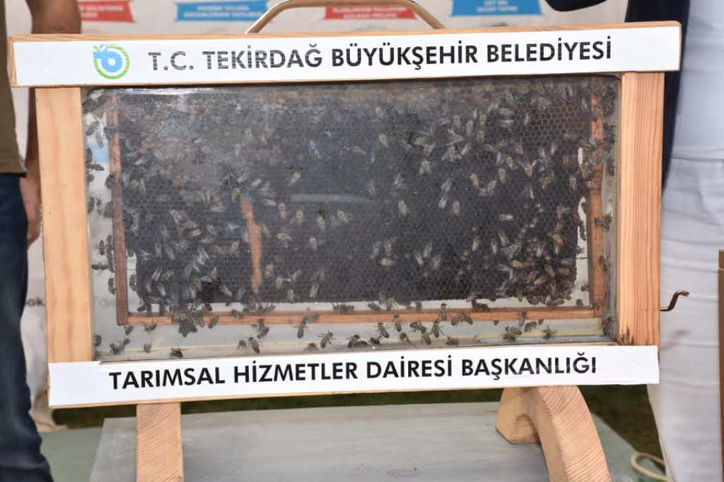 Tekirdağ Büyükşehir Belediyesi