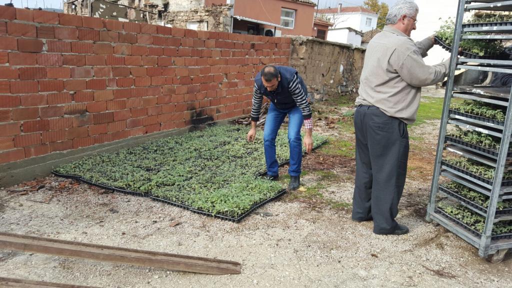 Tekirdağ Büyükşehir Belediyesi