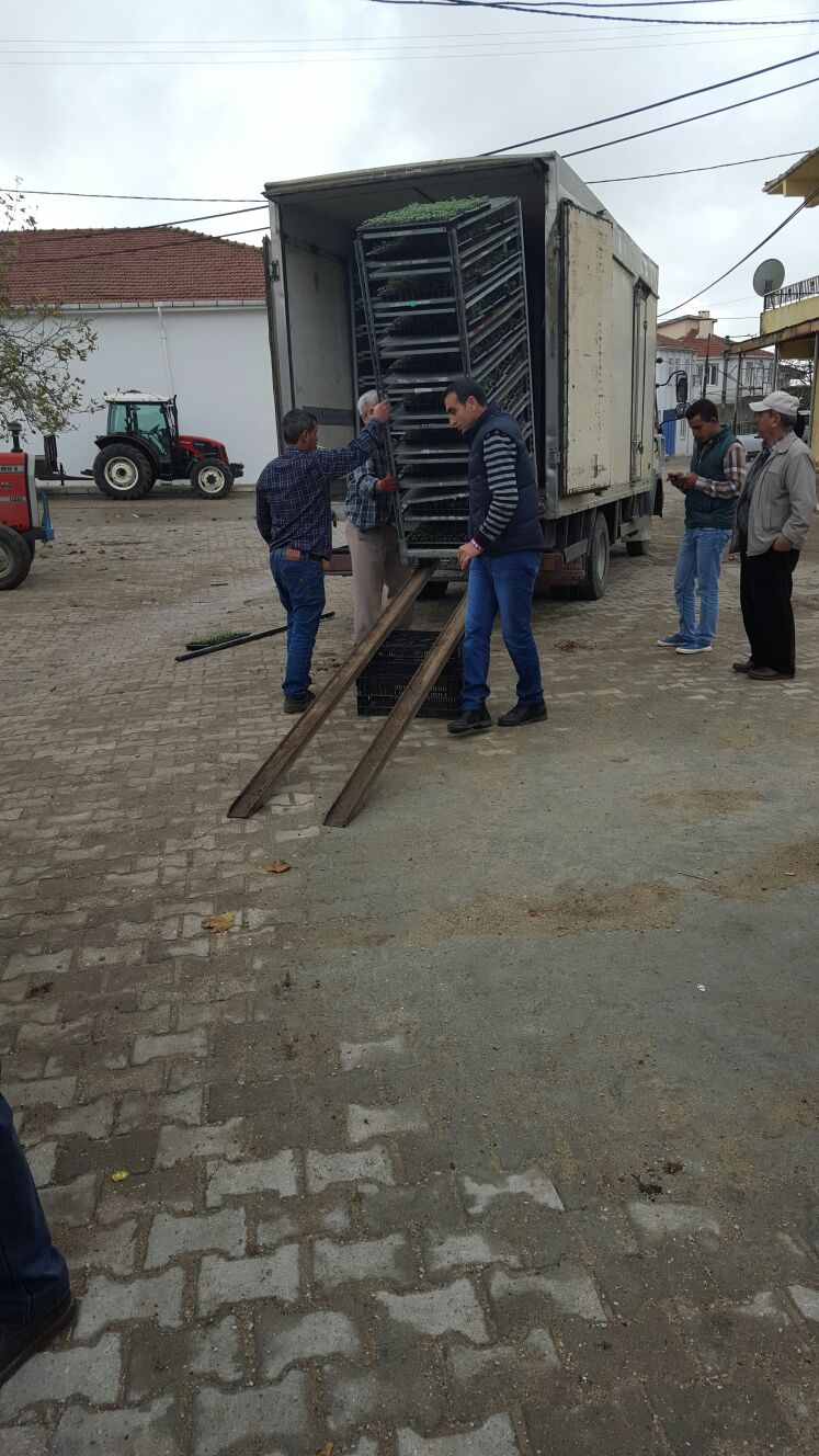 Tekirdağ Büyükşehir Belediyesi