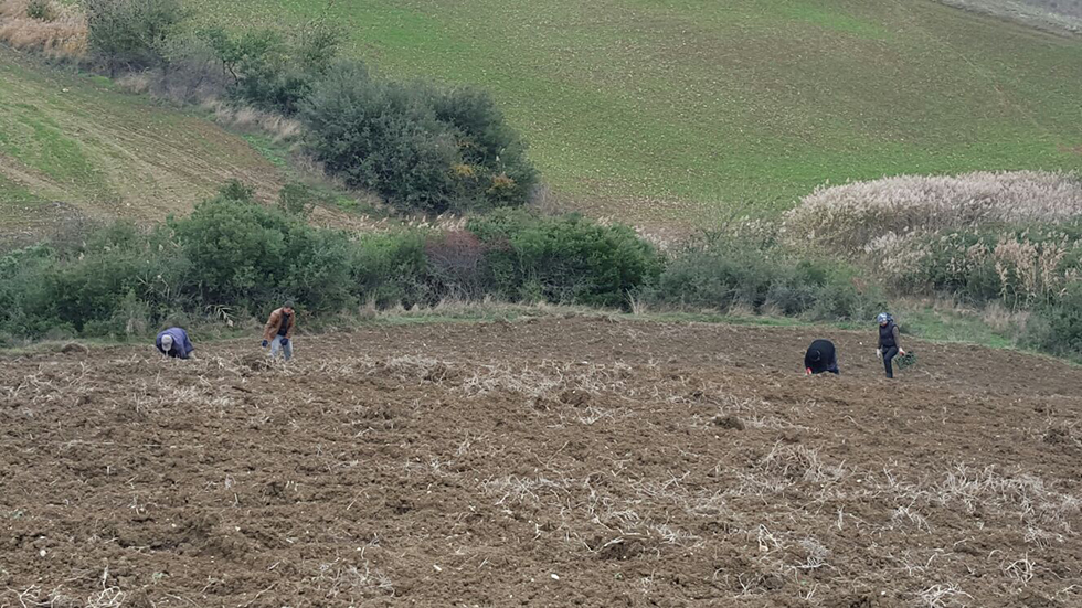 Tekirdağ Büyükşehir Belediyesi