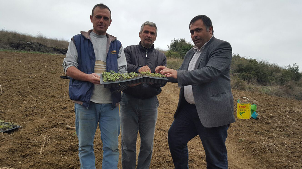 Tekirdağ Büyükşehir Belediyesi