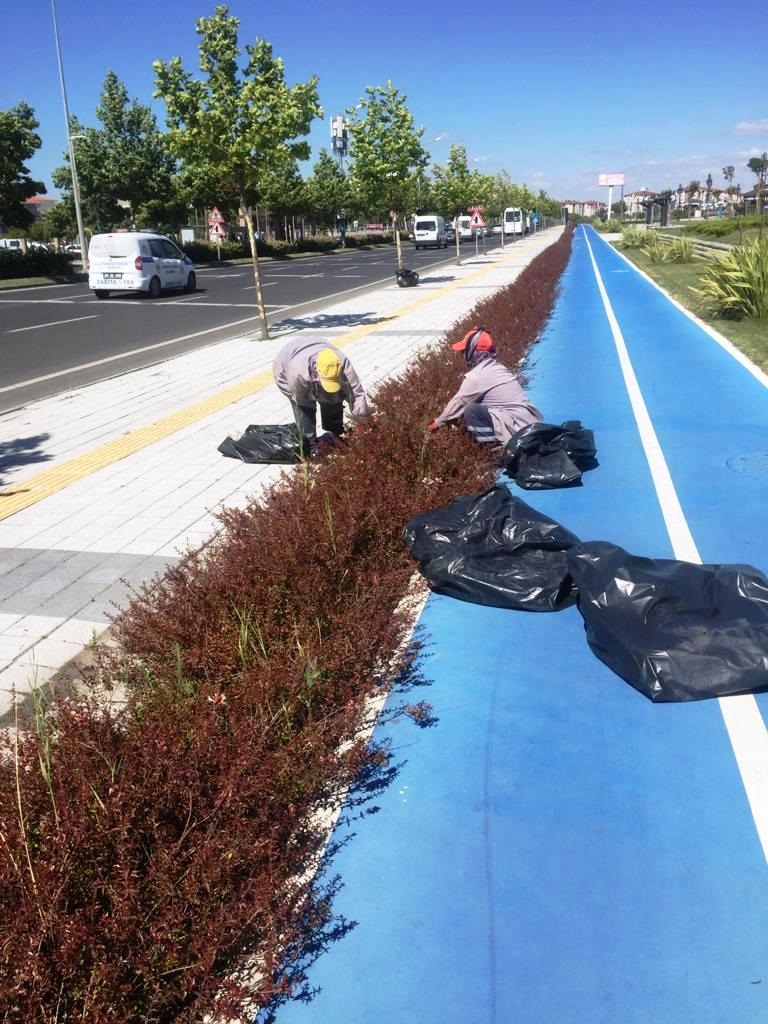 Tekirdağ Büyükşehir Belediyesi